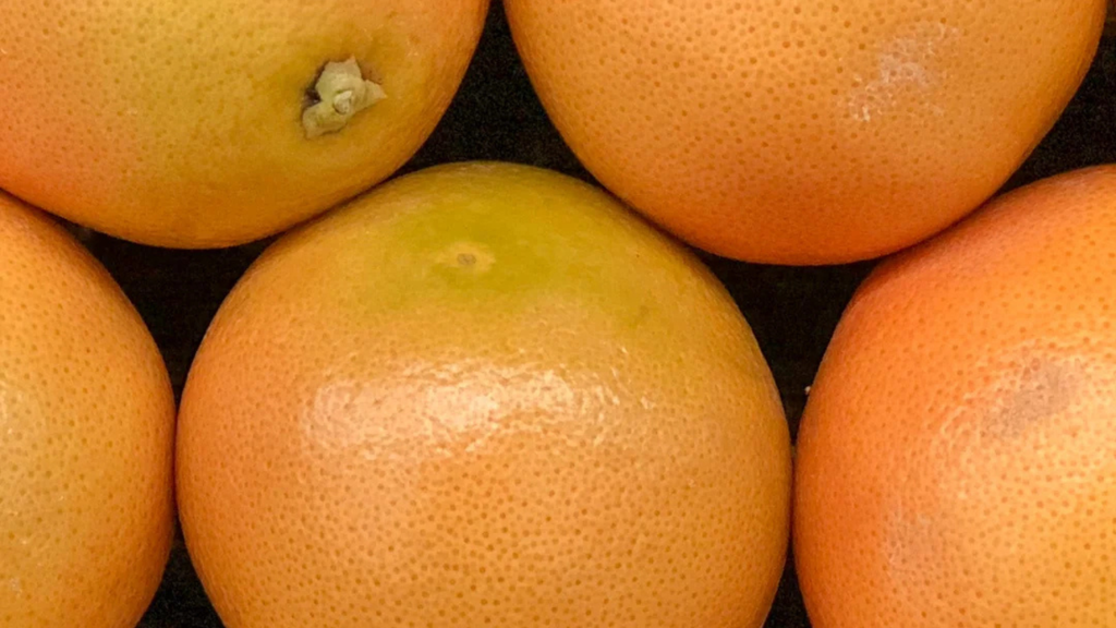Grapefruit Please!