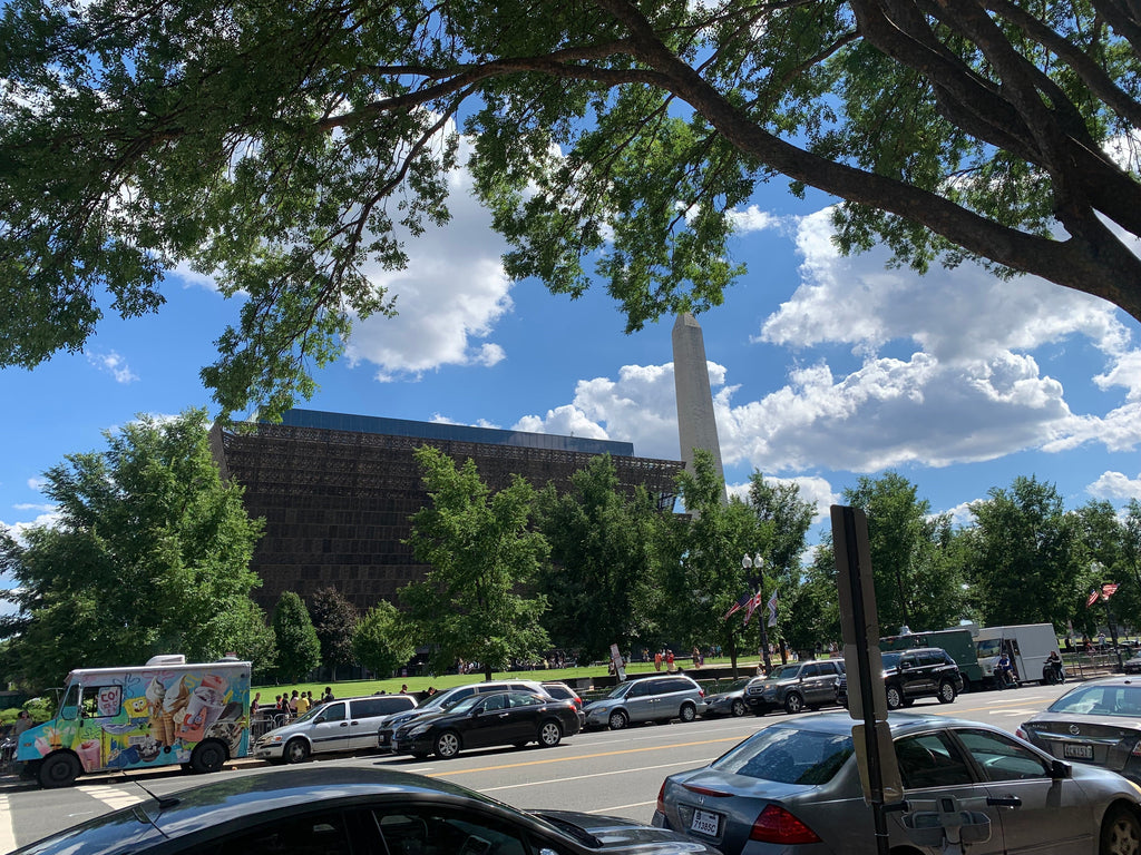 A Few Days in Washington